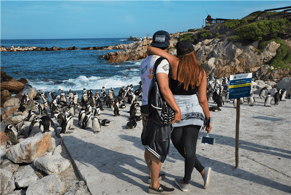 Honeymoon in South Africa